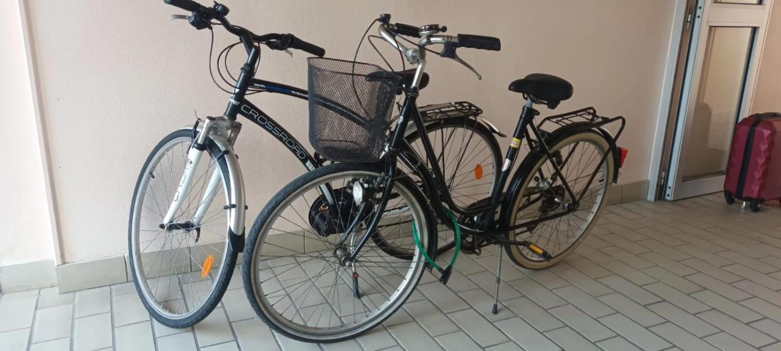 Appartement Cocon A Quiberon Dans Residence Calme, Plages Et Centre Ville A Pied Ou A Velo Pour 2 A 4 Personnes Exterior photo